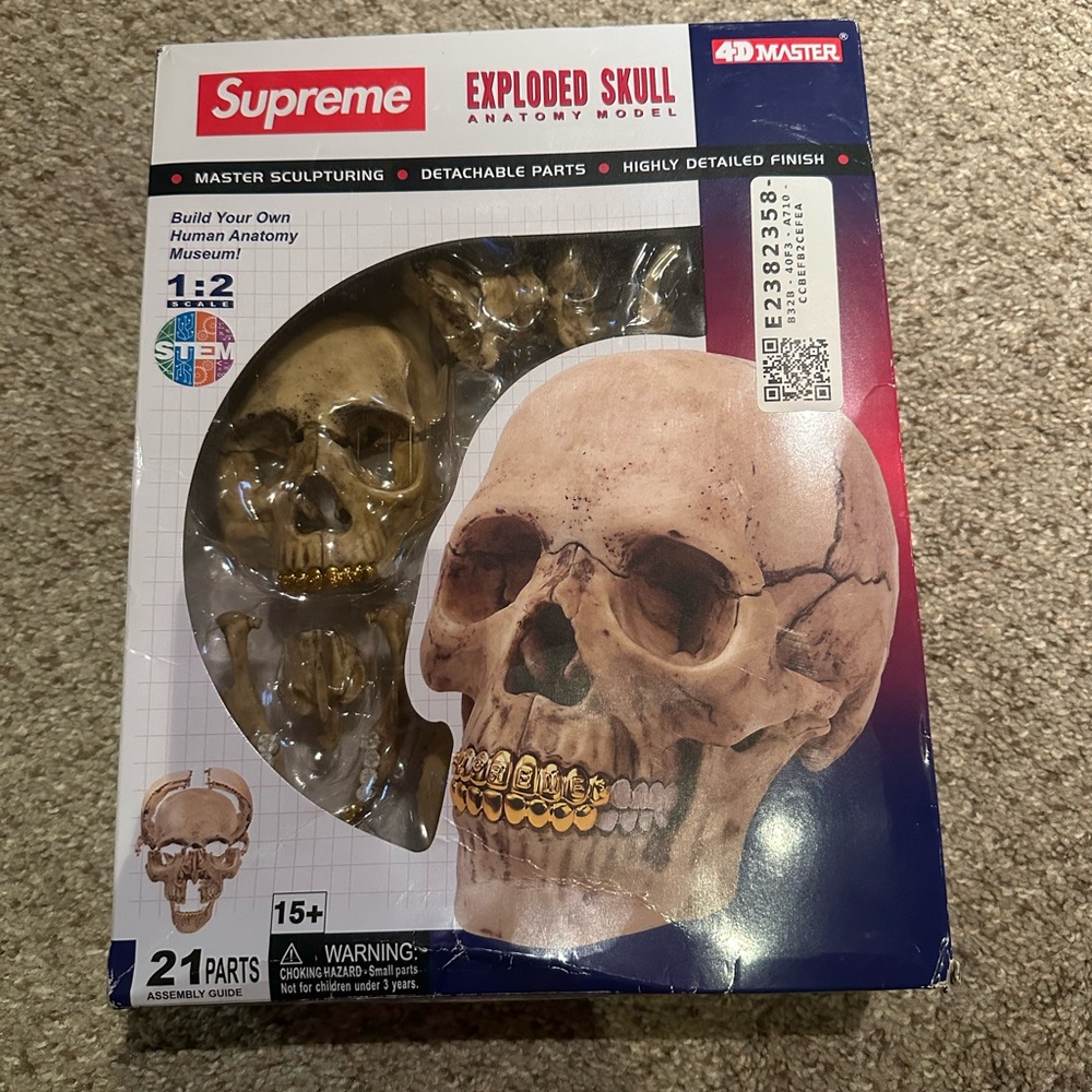 Supreme Skull Anatomy Model with Gold Details